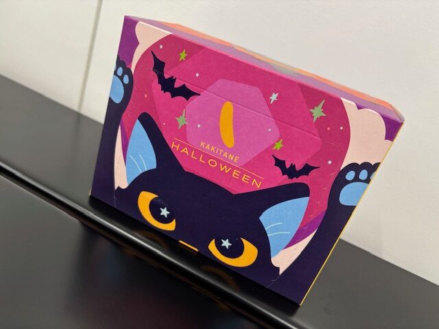 東京　PPF レザーコーティング