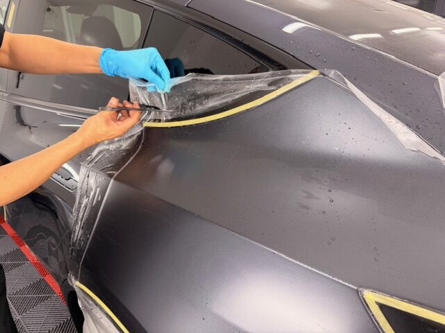 モデルY PPF プロテクションフィルム
