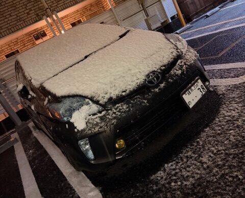 PPF　プロテクションフィルム　大掃除　西葛西