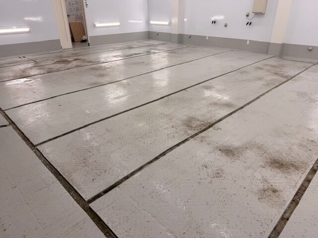 PPF　プロテクションフィルム　大掃除　西葛西